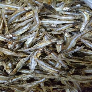 DRY FISH 2